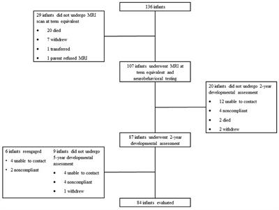 Fentanyl Exposure in Preterm Infants: Five-Year Neurodevelopmental and Socioemotional Assessment